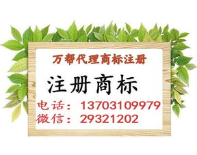 邯鄲公司注冊 邯鄲代理記賬 邯鄲商標注冊 一站式企業(yè)服務平臺