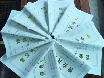 專業(yè)處理內資公司注冊與公司名稱核準服務